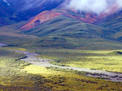 The Colors of Alaska