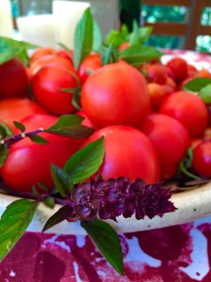 Tomatos in a Dish