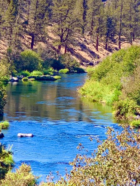 Bend in the River