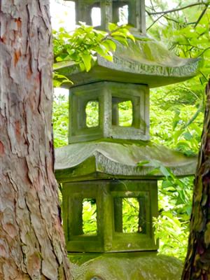 Forest Shrine in Kyoto