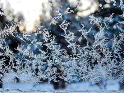 Hoarfrost